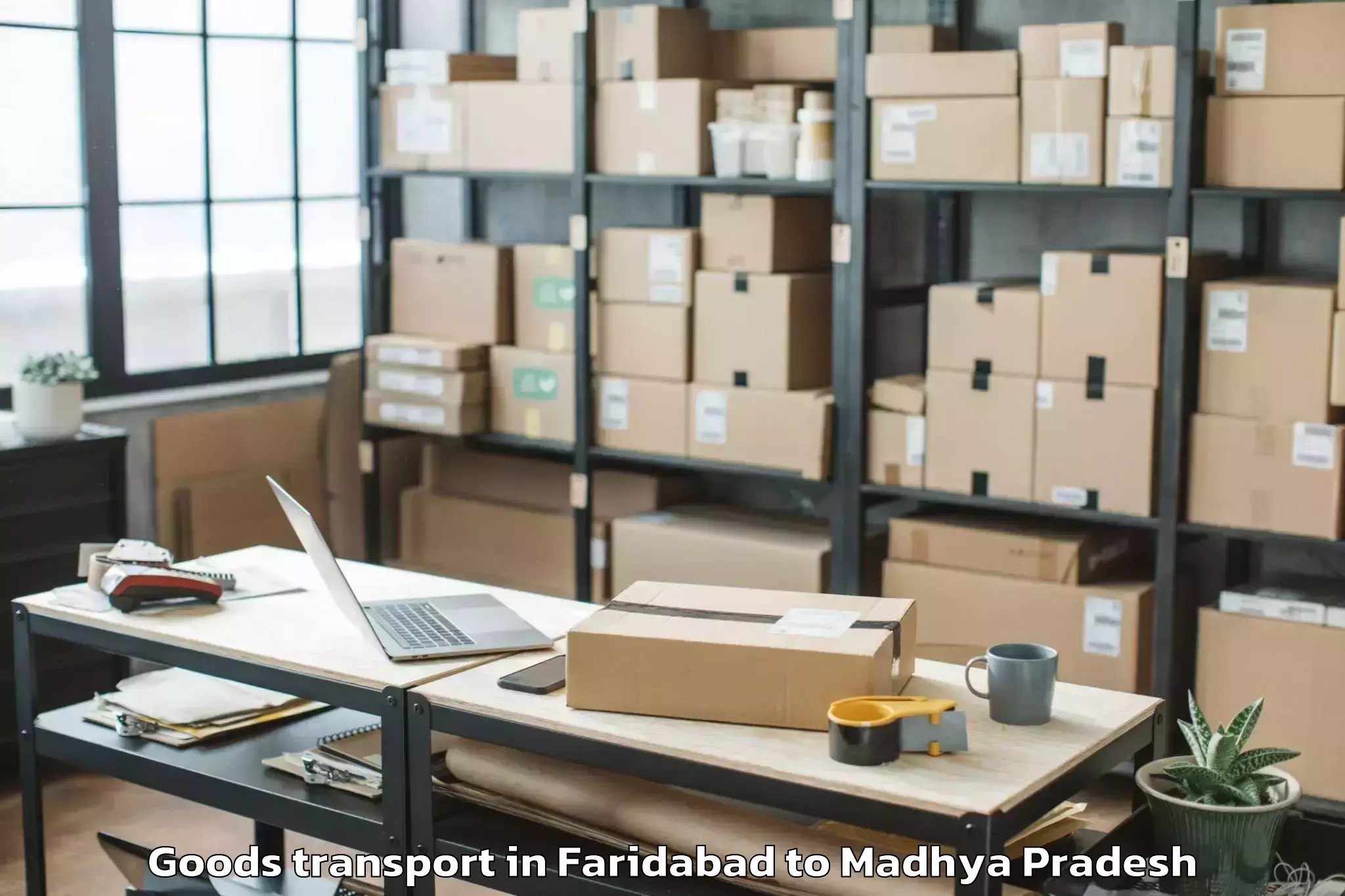 Quality Faridabad to Indore Airport Idr Goods Transport